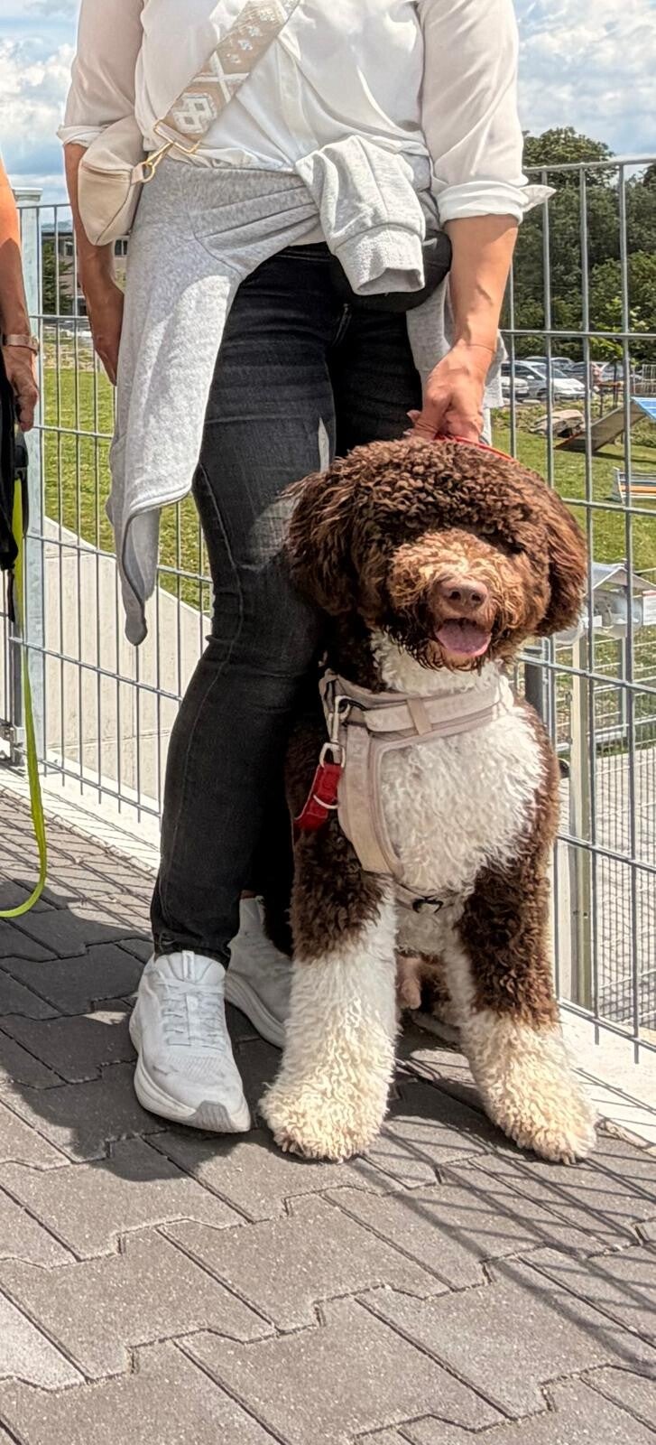 Hundezucht in Graz
