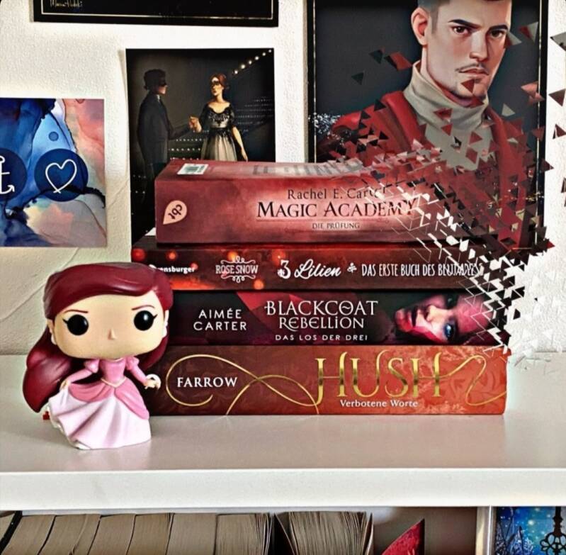 Bücherregal mit einem Stapel roter Bücher