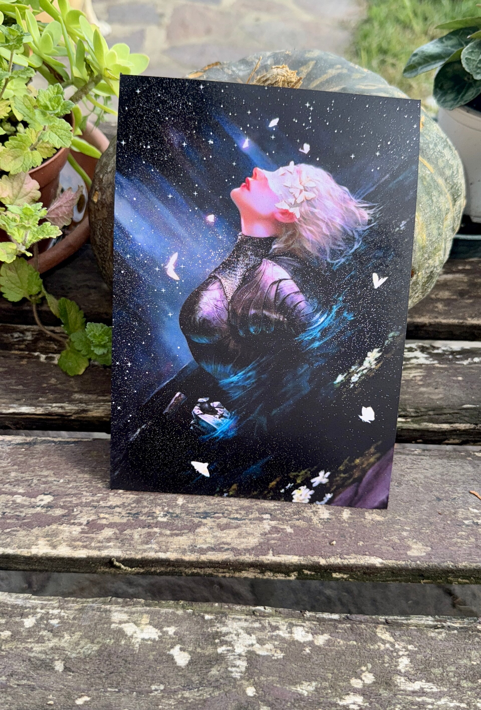 The knight and the moth