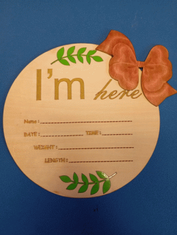 Namensschild für Neugeborene, hölzernes Schild zur Geburtsanzeige,