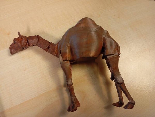 3D Kamel