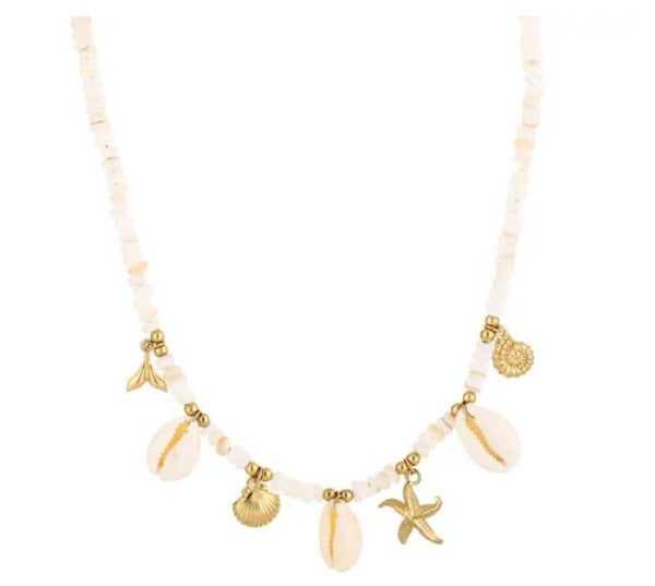 Ketting Beige Schelp