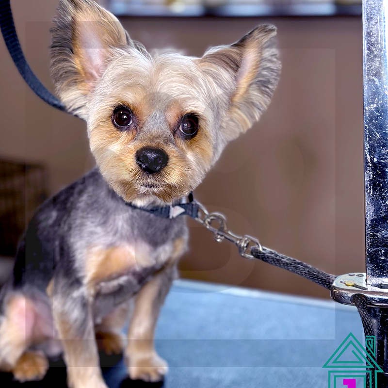 Thank you for S.O.A.Ring with us Mr.Kato