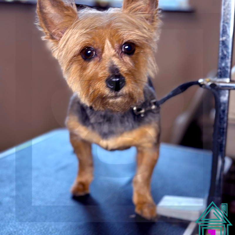 Thank you for S.O.A.Ring with us Miss.Dutchess