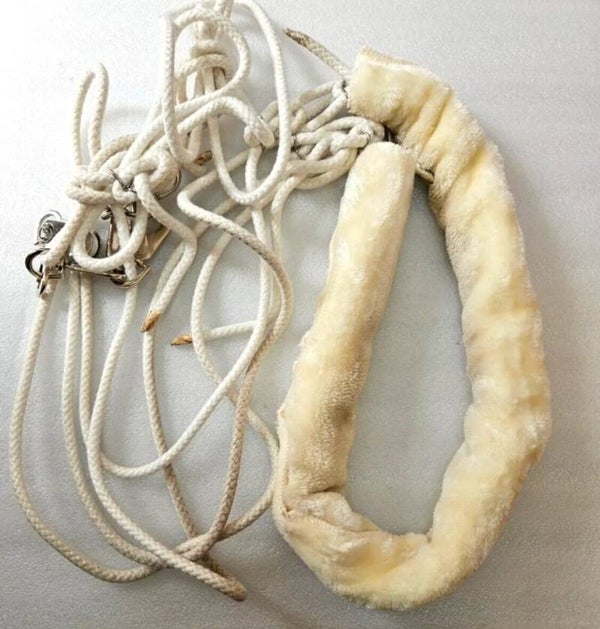 GFS Lunge Training System