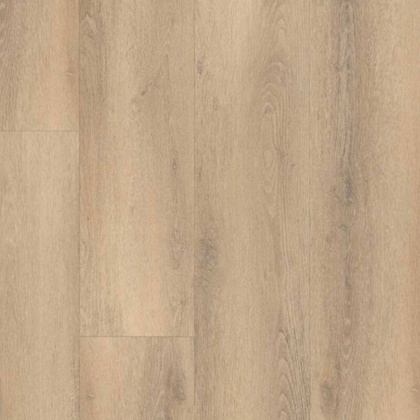 PALAZZO 750 | RIGID CLICK