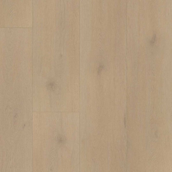 PALAZZO 770 Dryback