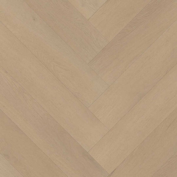 PALAZZO VISGRAAT XL 77 | RIGID CLICK