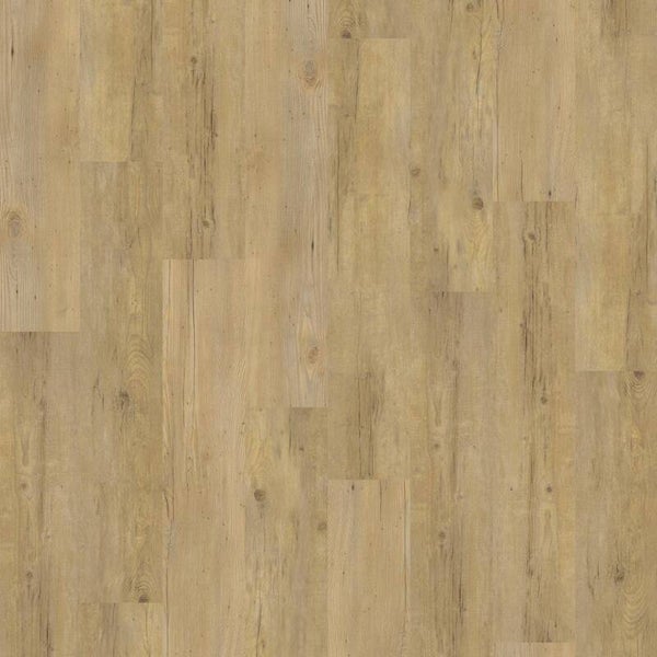 Excellent dryback naturel