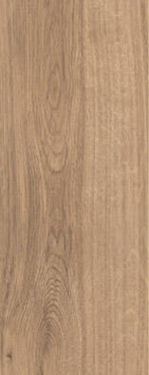 mFLOR 40815 Parva Broad Leaf Warm Sycamore  Artnr. 400081499