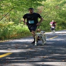 img_0052-standard.jpg