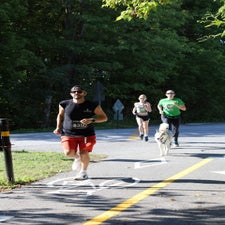 img_0099-standard-xc3o5h.jpg