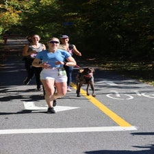 img_0587-standard.jpg