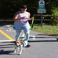 img_1070-standard.jpg