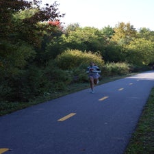 img_9700-standard.jpg