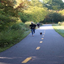 img_9761-standard.jpg