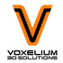 voxelium3D.it