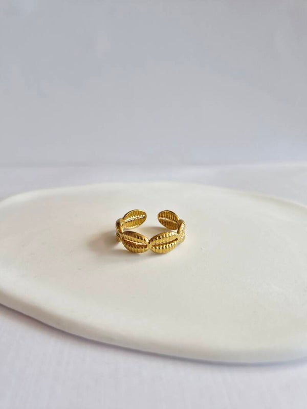 Shelly ring