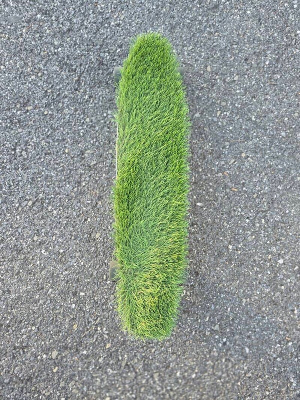 The Original Lawngboard