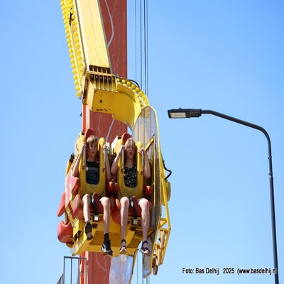 447-1r1a1111-standard.jpg