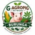 Green Agropig Network