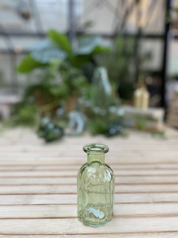 Bottle Green Stripe Small