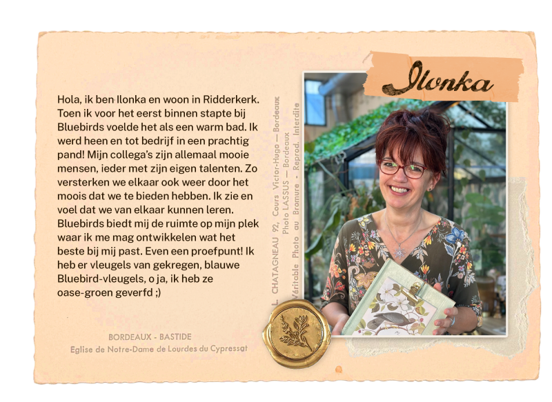 kaartjes-persona-5-standard-1nxjeg.png