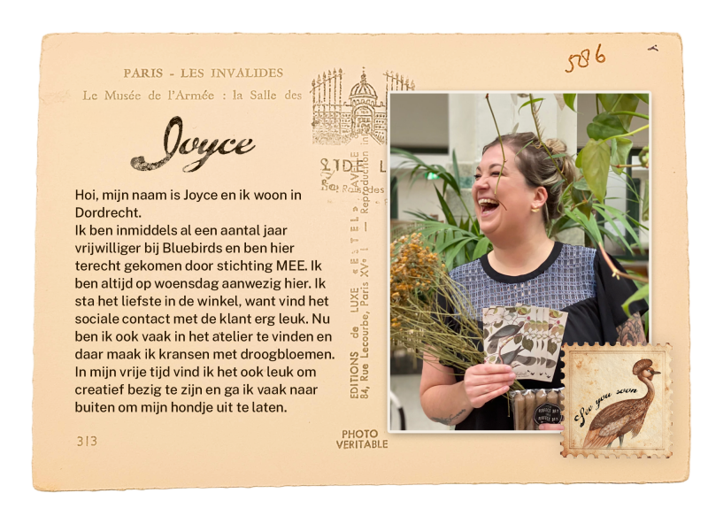 kaartjes-persona-7-standard.png