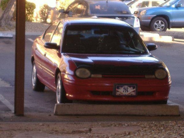 Photo Gallery 2