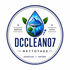 DCclean07