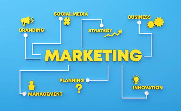 Marketingsplan om Senno Gait / zooltjes als extra dienst aan te bieden voor een extra inkomsten bron