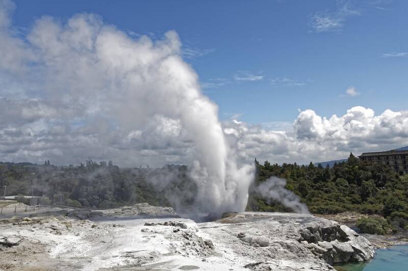 new-zealand-pohutu-geiser-standard.jpg