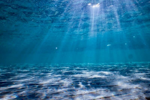 Siren light super large