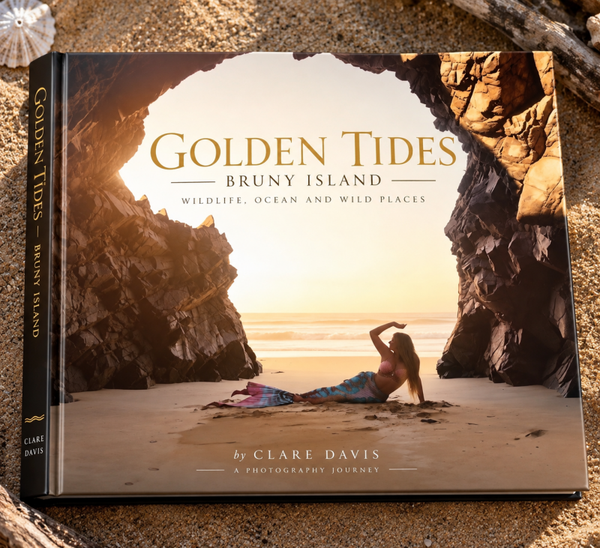 Golden Tides Photography Book Now Available for Pre-Order