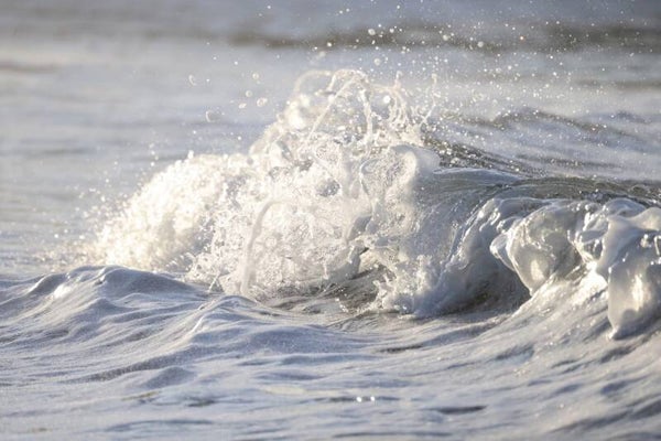 Soft Foam Bruny Island