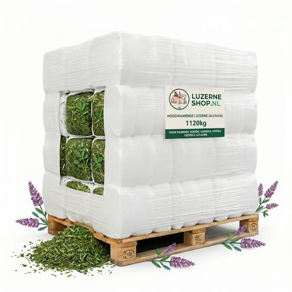 Luzerne Plus per pallet (Grootverbruik & Stapelkorting) Hoogwaardige Luzernebalen (20 kg)