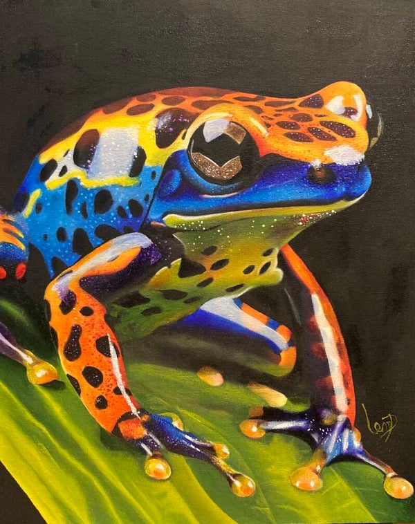 Titre; Ma petite grenouille