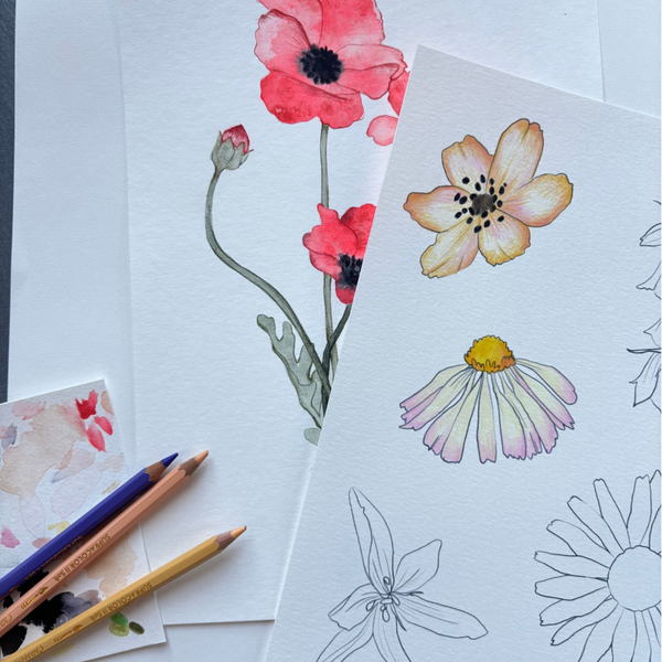 LES FLEURS, 8 illustrations végétales à colorier