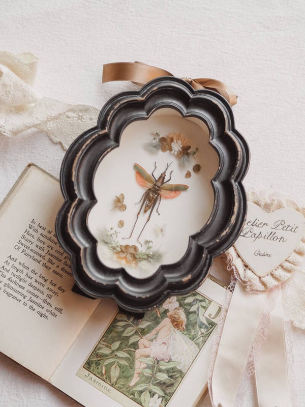 'Little in Black' ︱Frame