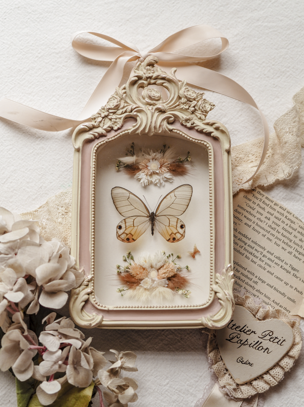 'Amber Phantom'︱Frame
