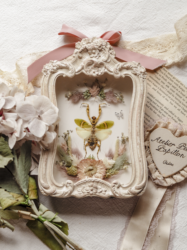 'Greens & Pinks'︱Frame