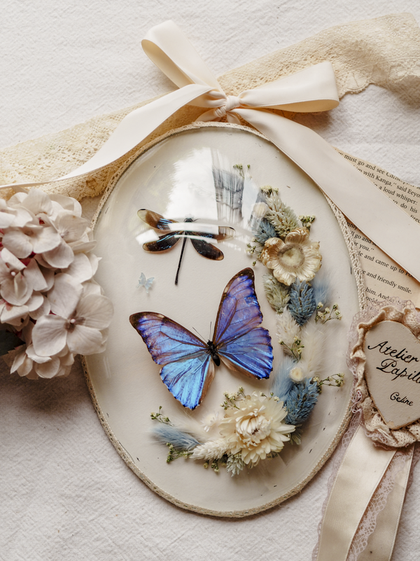 'Shades of Blue' ︱Dome Glass Frame