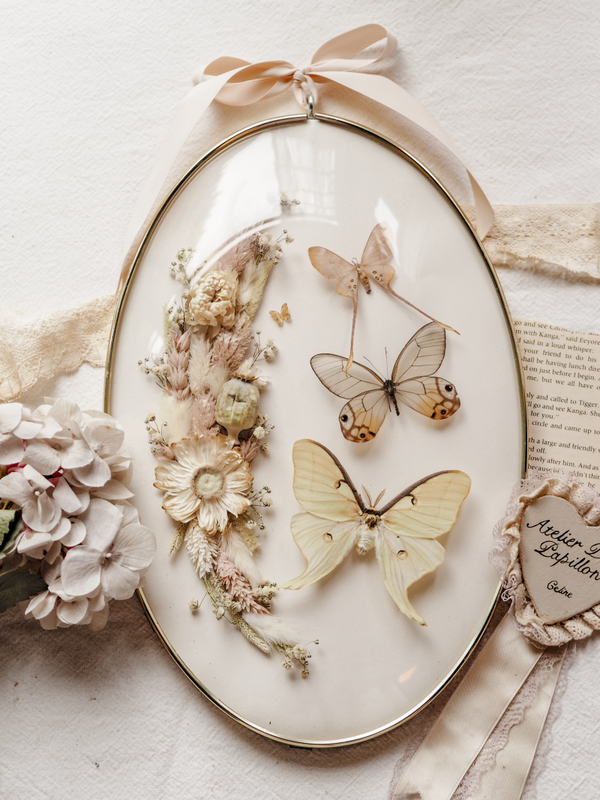 'Little Trio' ︱Dome Glass Frame