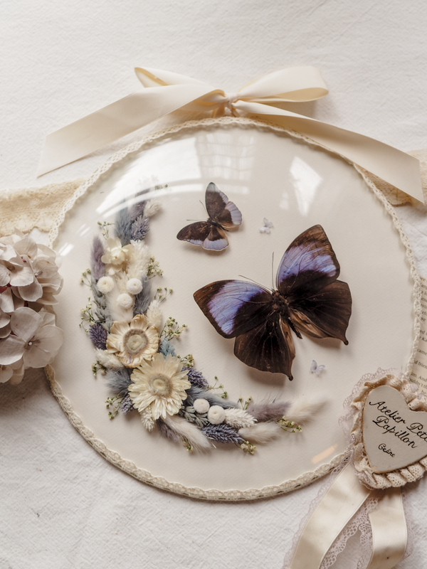 'Blue & Black' ︱Dome Glass Frame