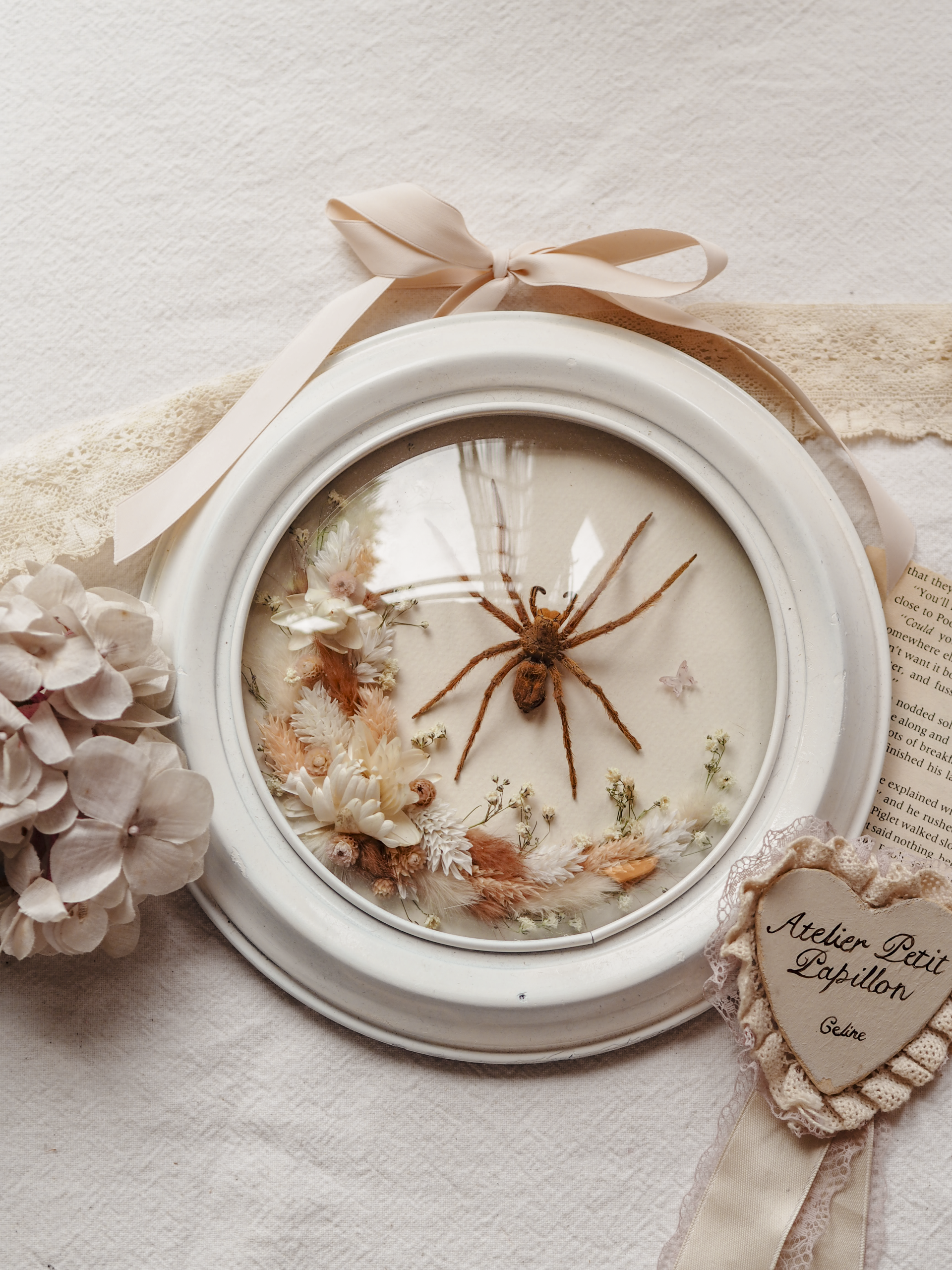 'David Bowie Spider'︱Dome Glass Frame