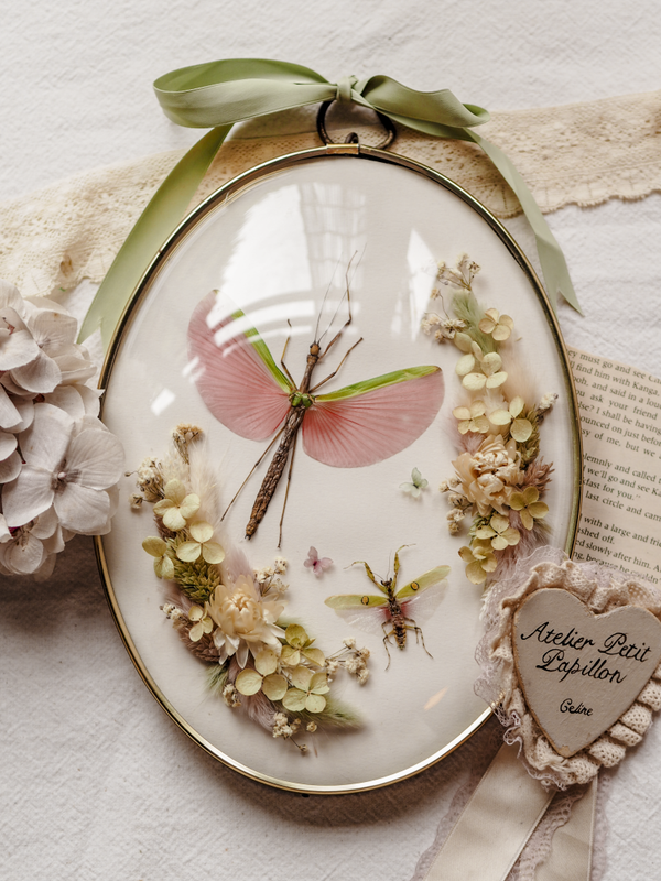 'Big & Little' ︱Dome Glass Frame
