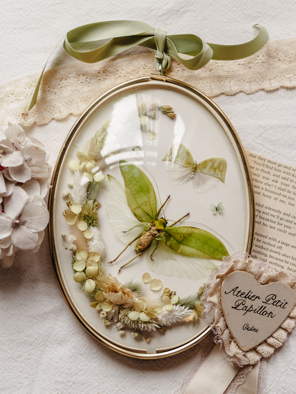 'Like a Leaf'︱Dome Glass Frame