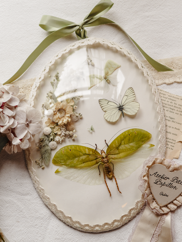 'Pastel Yellow' ︱Dome Glass Frame