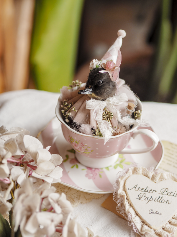 'Pinky'︱Duckling