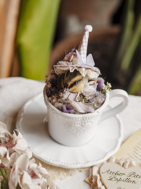 'Violet' ︱Duckling